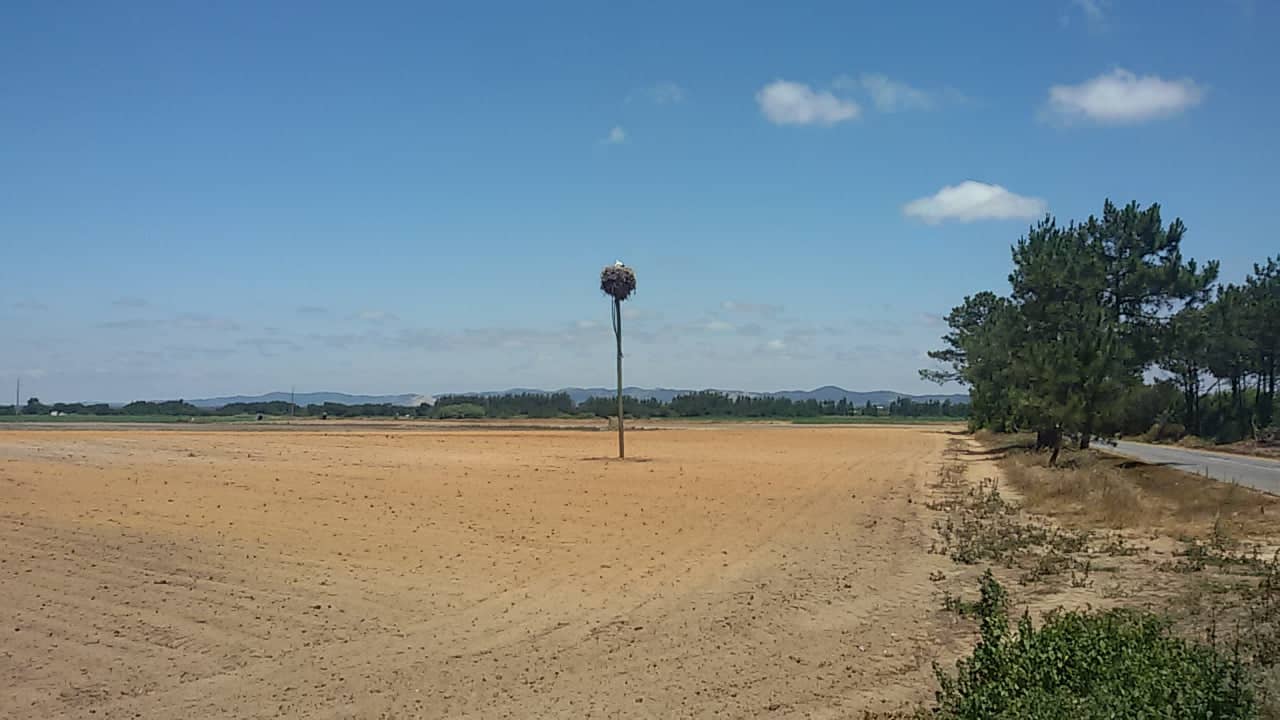17 agricultural field near cavaleiro andre frederico[1]