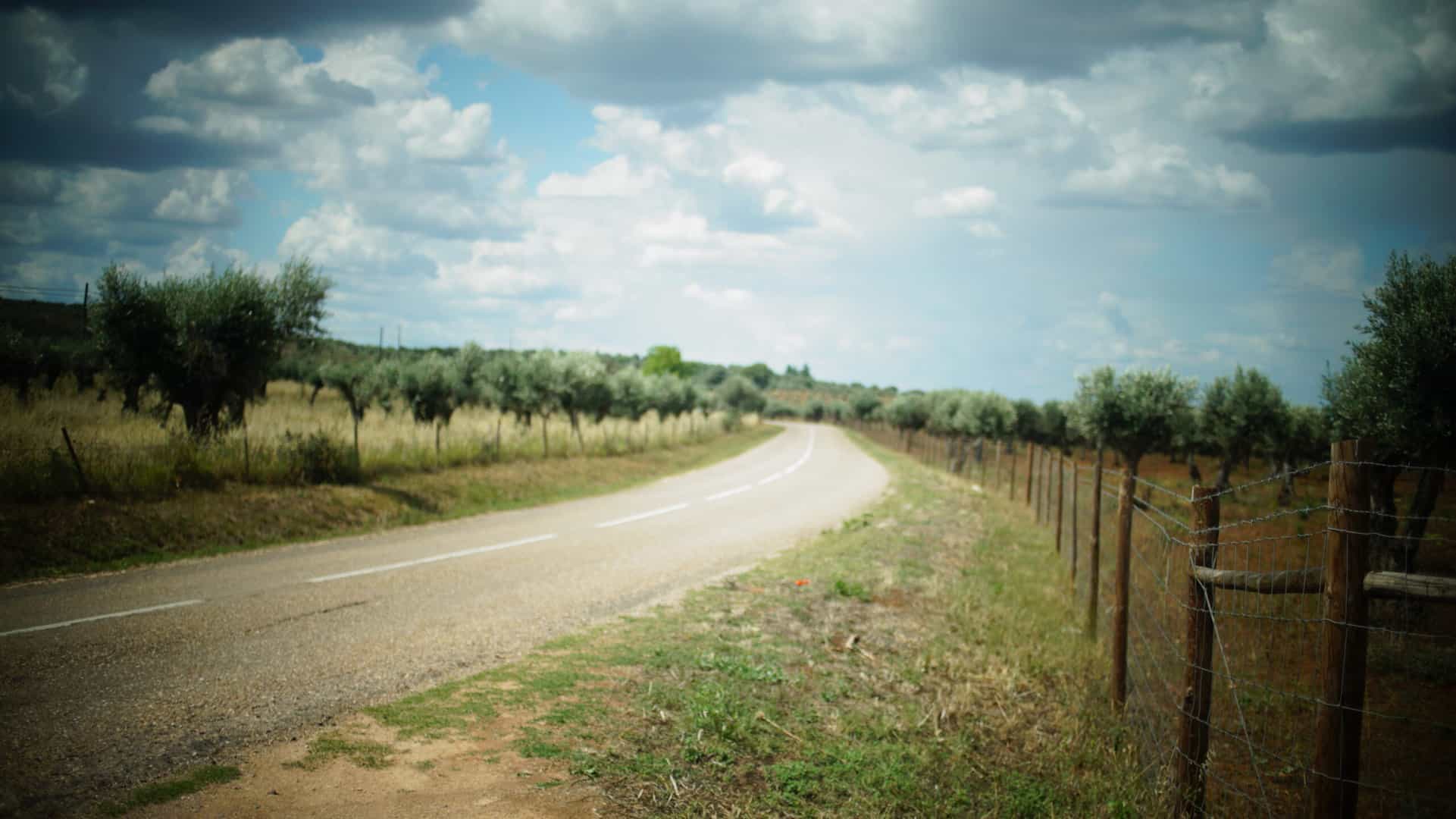 Road cycling by the rolling hills of Alentejo
