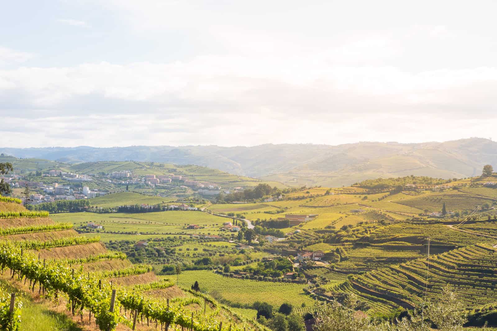 Douro valley bike tour